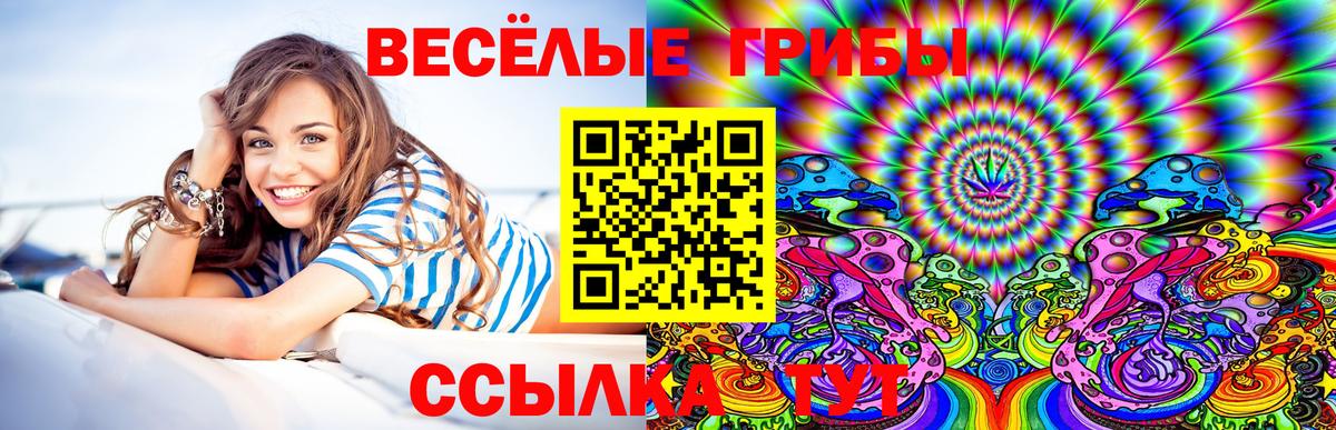 даркнет сайт  Нефтекамск  Галлюциногенные грибы прущие грибы 