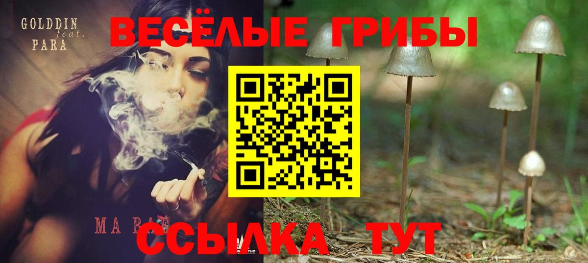 Псилоцибиновые грибы Psilocybe  где купить наркотик  Нефтекамск  Галлюциногенные грибы Cubensis  Вход с VPN 